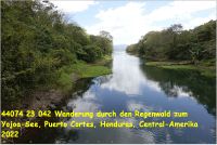 44074 23 042 Wanderung durch den Regenwald zum Yojoa-See, Puerto Cortes, Honduras, Central-Amerika 2022.jpg
